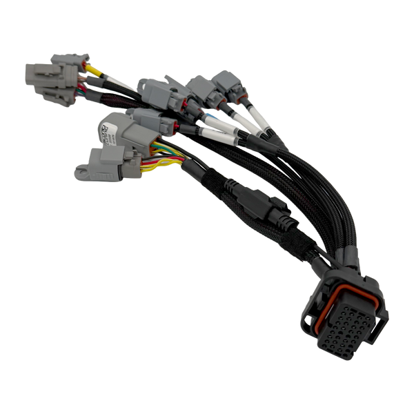 Visconti B58 S58 X58 ReFlex+ integration harness
