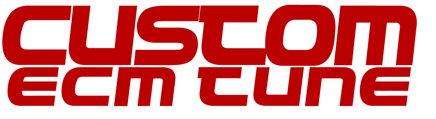 Nissan GTR Custom ECM Tune